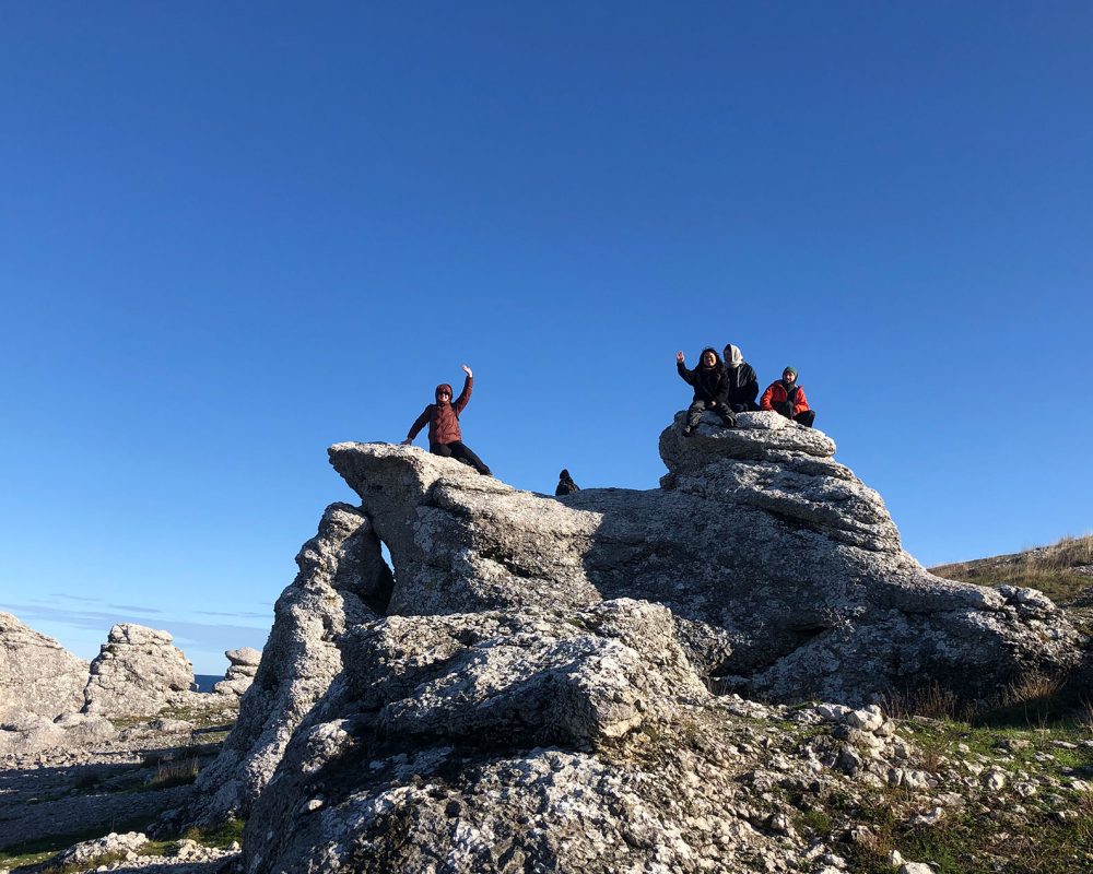 Billede for Fælles studietur til Gotland og Stockholm 